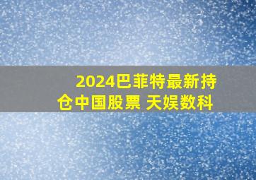 2024巴菲特最新持仓中国股票 天娱数科